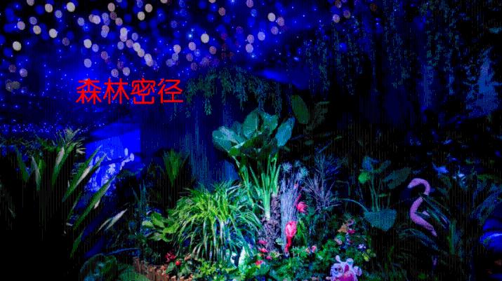 用数字化技术讲述更多打动人心故事